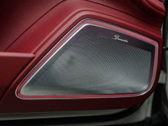 Porsche Panamera 2.9T Platinum Edition - ფოტო 14