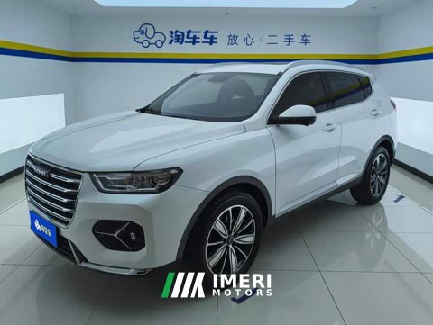 2021 Haval H6 1.5T Automatic Champion Edition - ავტომობილი ჩინეთიდან