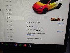 Tesla Model Y Rear-Wheel Drive - ფოტო 1