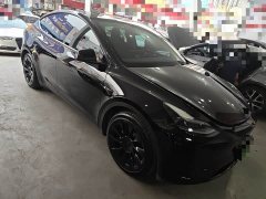 Tesla Model Y Rear-Wheel Drive - ფოტო 3