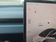 Tesla Model 3 Long Range Rear-Wheel Drive - ფოტო 10