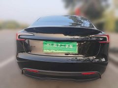 Tesla Model 3 Long Range Rear-Wheel Drive - ფოტო 3