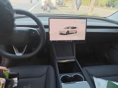 Tesla Model 3 Long Range Rear-Wheel Drive - ფოტო 5