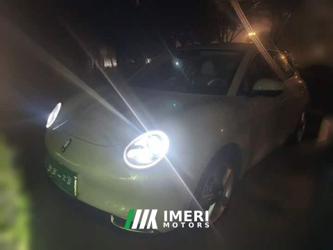 2023 ORA Good Cat 401km Standard Range Deluxe LFP - ავტომობილი ჩინეთიდან