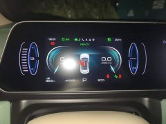 ORA Good Cat 401km Standard Range Deluxe LFP - ფოტო 12