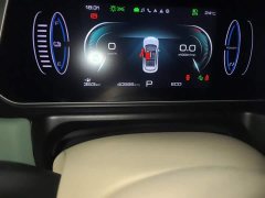 ORA Good Cat 401km Standard Range Deluxe LFP - ფოტო 13