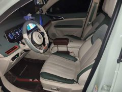 ORA Good Cat 401km Standard Range Deluxe LFP - ფოტო 16