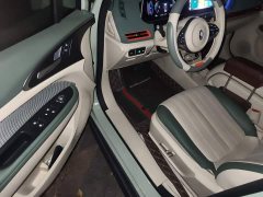 ORA Good Cat 401km Standard Range Deluxe LFP - ფოტო 17