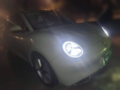 ORA Good Cat 401km Standard Range Deluxe LFP - ფოტო 3