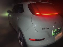 ORA Good Cat 401km Standard Range Deluxe LFP - ფოტო 4