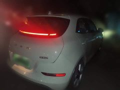 ORA Good Cat 401km Standard Range Deluxe LFP - ფოტო 6
