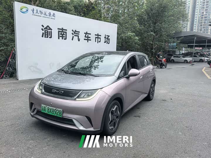 BYD Dolphin 405km Fashion Edition - ავტომობილი ჩინეთიდან
