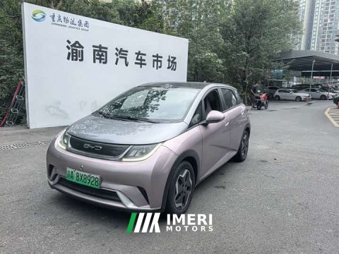 2022 BYD Dolphin 405km Fashion Edition - ავტომობილი ჩინეთიდან
