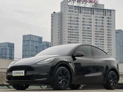 Tesla Model Y 2023 Long Range All-Wheel Drive - ფოტო 1