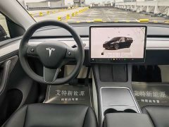 Tesla Model Y 2023 Long Range All-Wheel Drive - ფოტო 15
