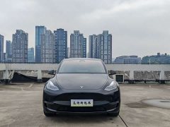 Tesla Model Y 2023 Long Range All-Wheel Drive - ფოტო 2