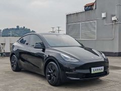 Tesla Model Y 2023 Long Range All-Wheel Drive - ფოტო 3