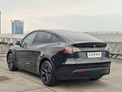 Tesla Model Y 2023 Long Range All-Wheel Drive - ფოტო 4
