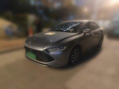 BYD Qin PLUS Champion Edition DM-i 55KM Exceed - ფოტო 1