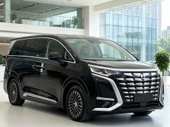 Denza BYD Denza D9 DM-i 1040 Premium - ფოტო 1