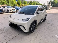BYD Seagull Glory Edition 405km Flying Edition - ფოტო 1