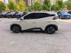 BYD Seagull Glory Edition 405km Flying Edition - ფოტო 10