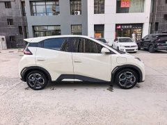 BYD Seagull Glory Edition 405km Flying Edition - ფოტო 11
