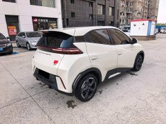 BYD Seagull Glory Edition 405km Flying Edition - ფოტო 14