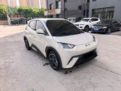 BYD Seagull Glory Edition 405km Flying Edition - ფოტო 3