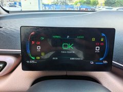 BYD Seagull Glory Edition 405km Flying Edition - ფოტო 5