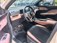 BYD Seagull Glory Edition 405km Flying Edition - ფოტო 6