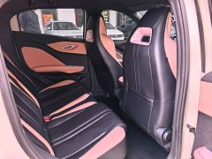 BYD Seagull Glory Edition 405km Flying Edition - ფოტო 9