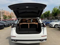 Chery Tiggo 9 2023 2.0T DCT FWD Luxury 7-Seater - ფოტო 9