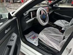 Volkswagen Lamando L 300TSI Lingdong Edition - ფოტო 8