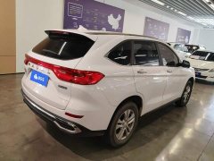 Haval M6 2023 PLUS 1.5T DCT Elite Smart Connected Edition - ფოტო 3