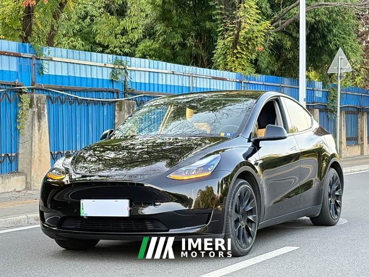 Tesla Model Y Rear-Wheel Drive