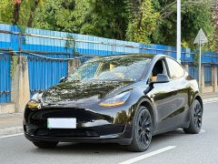 Tesla Model Y Rear-Wheel Drive - ფოტო 1