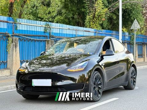 2022 Tesla Model Y Rear-Wheel Drive - ავტომობილი ჩინეთიდან