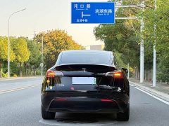 Tesla Model Y Rear-Wheel Drive - ფოტო 11
