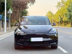 Tesla Model Y Rear-Wheel Drive - ფოტო 2