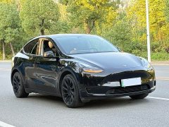 Tesla Model Y Rear-Wheel Drive - ფოტო 3