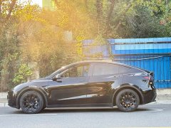Tesla Model Y Rear-Wheel Drive - ფოტო 4