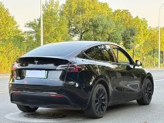 Tesla Model Y Rear-Wheel Drive - ფოტო 9