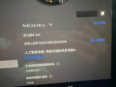 Tesla Model Y Rear-Wheel Drive - ფოტო 12