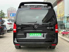 Rhine Traveler 2.0T Vito Fashion Edition - ფოტო 15