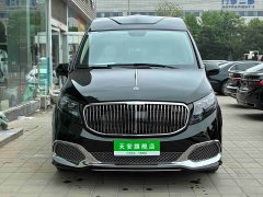 Rhine Traveler 2.0T Vito Fashion Edition - ფოტო 2