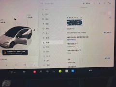 Tesla Model 3 High Performance All-Wheel Drive - ფოტო 7
