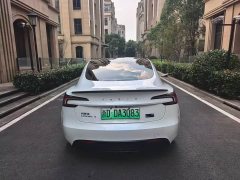 Tesla Model 3 High Performance All-Wheel Drive - ფოტო 9