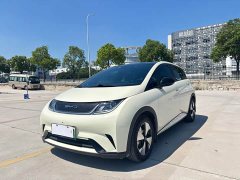 BYD Dolphin 420km Fashion Edition - ფოტო 1