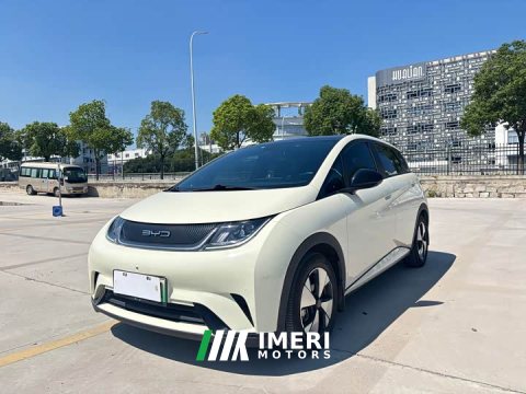 2023 BYD Dolphin 420km Fashion Edition - ავტომობილი ჩინეთიდან